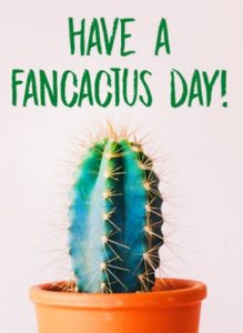 Have a fancactus day